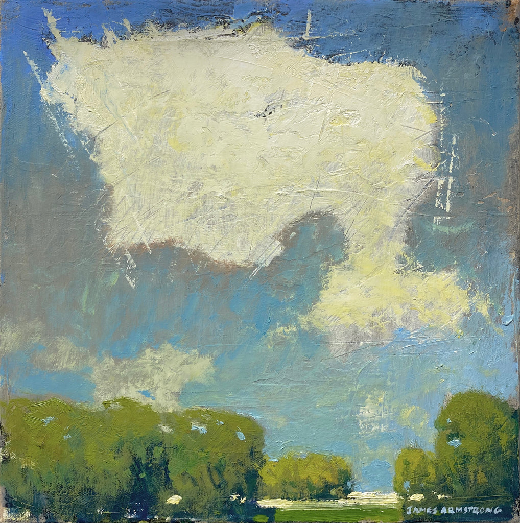 Field Textures II 12x12