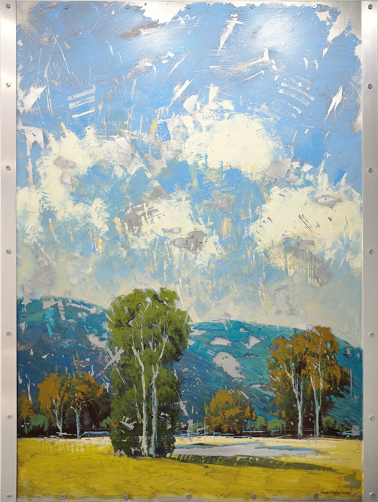 Knights Valley 48x36 SOLD