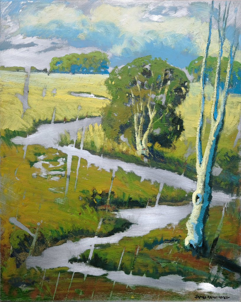 Meandering About 20x16